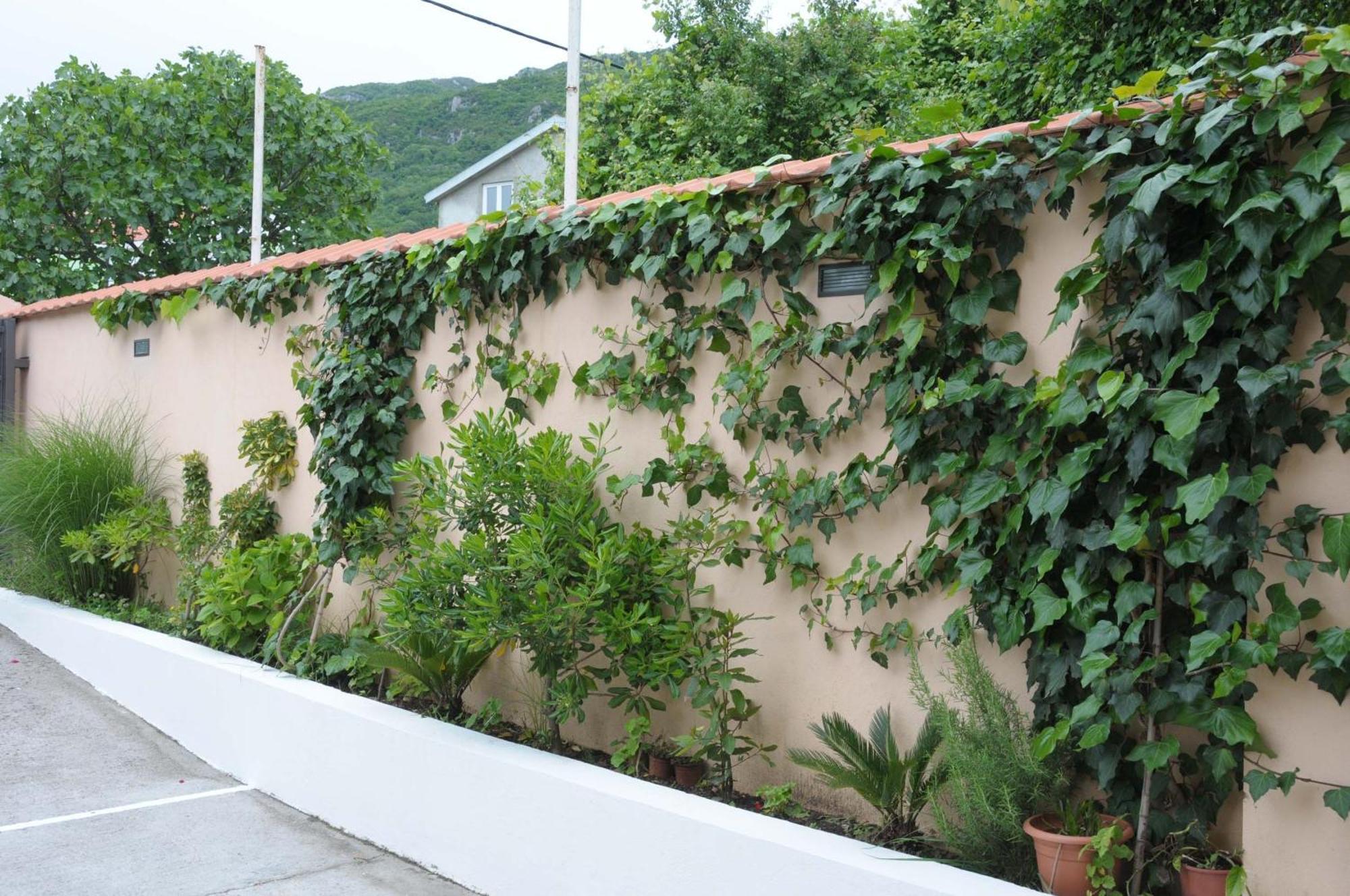 Apartament Royal *